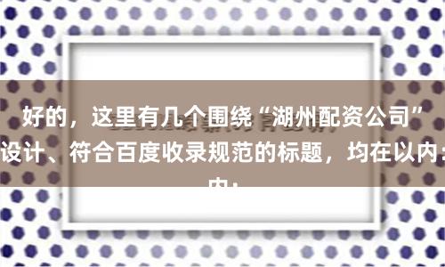 好的，这里有几个围绕“湖州配资公司”设计、符合百度收录规范的标题，均在以内：